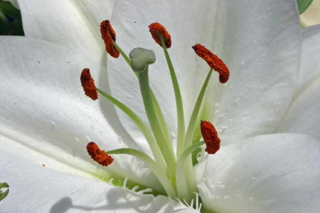 Lumea ta interioara si succesul