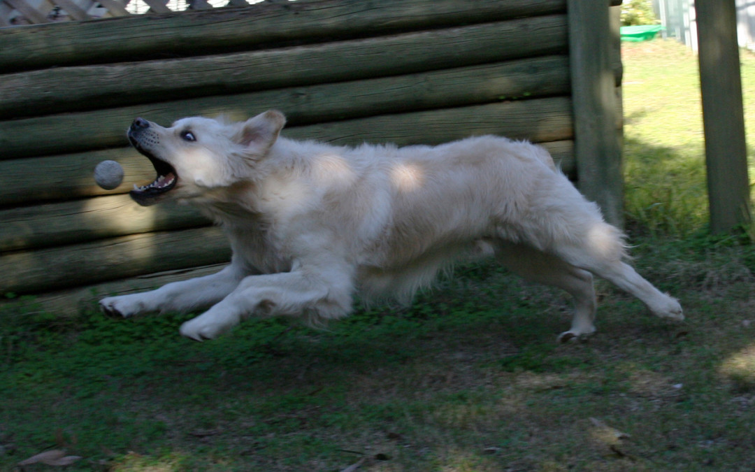 Fii eficient(a) in tot ce faci